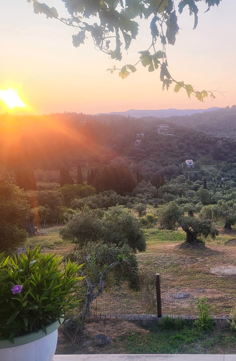 Olive Grove Home